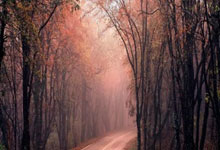 葡萄牙对阵冰岛的比分最终是多少？