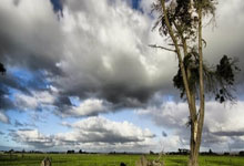 英冠赛事，南安普敦对阵普雷斯顿，最新情况有哪些看点？